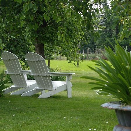 B&B Schoon Goed Gingelom Exteriör bild